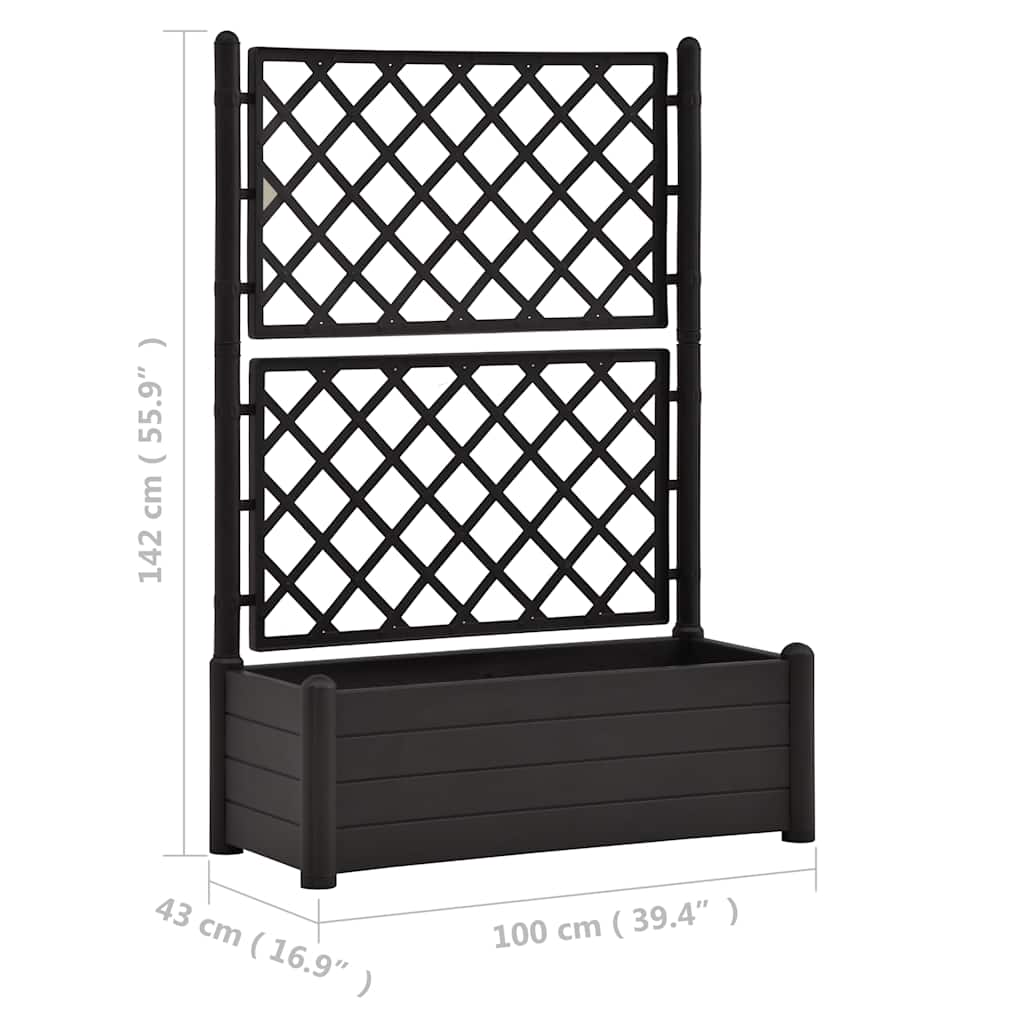 antracitszürke polipropilén rácsos kerti ültető 100x43x142 cm
