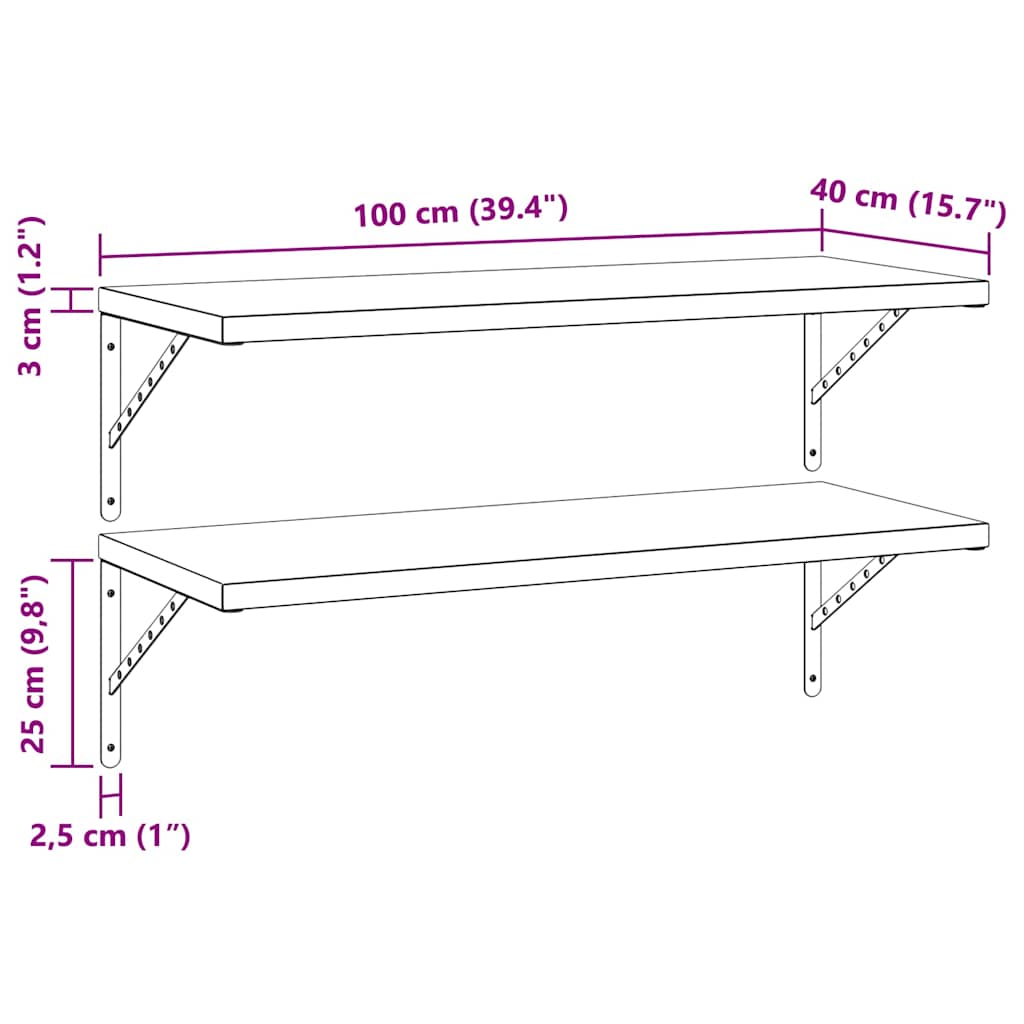 2 db ezüstszínű rozsdamentes acél fali polc 100x40 cm