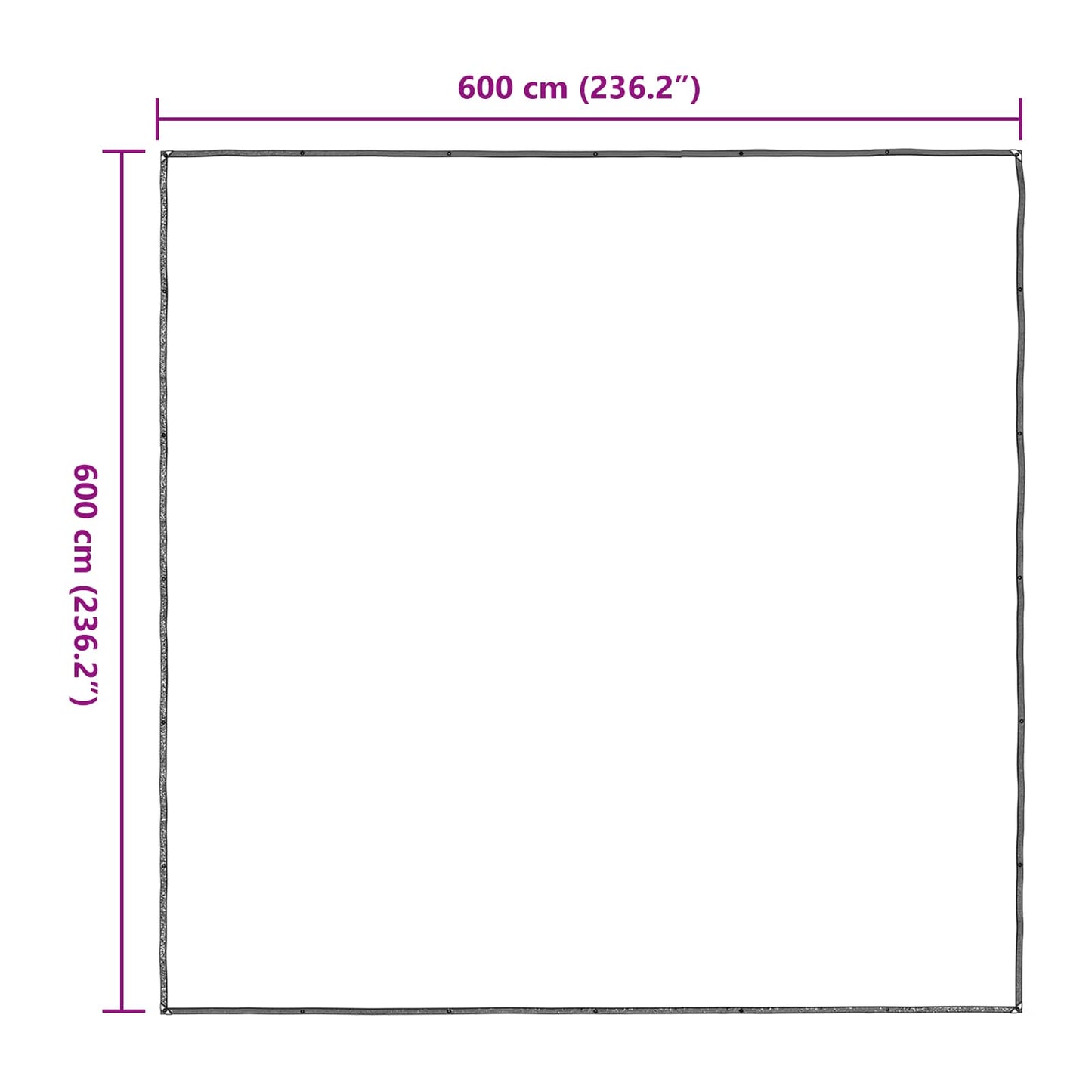 Növényfedező Átlátszó 6 x 6 m PE