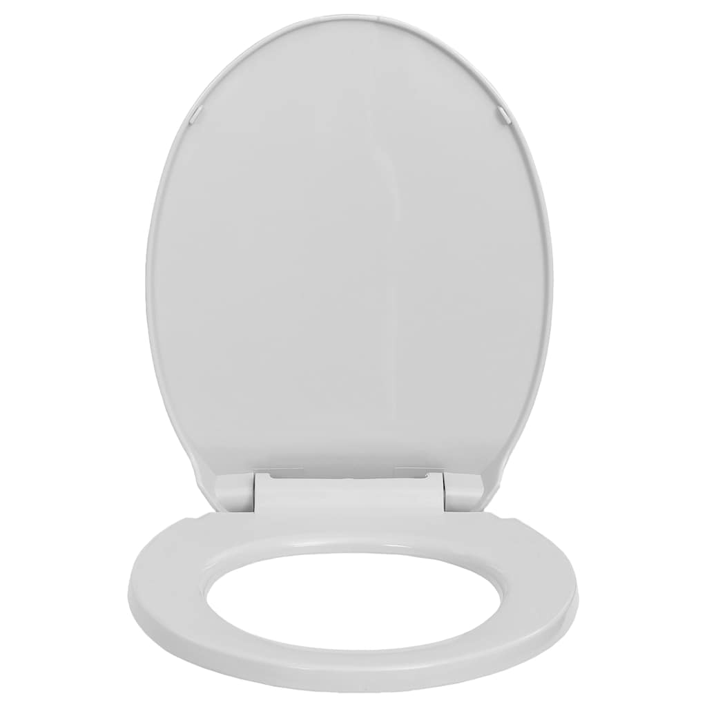 világosszürke lassan csukódó fedelű gyorskioldó ovális WC ülőke