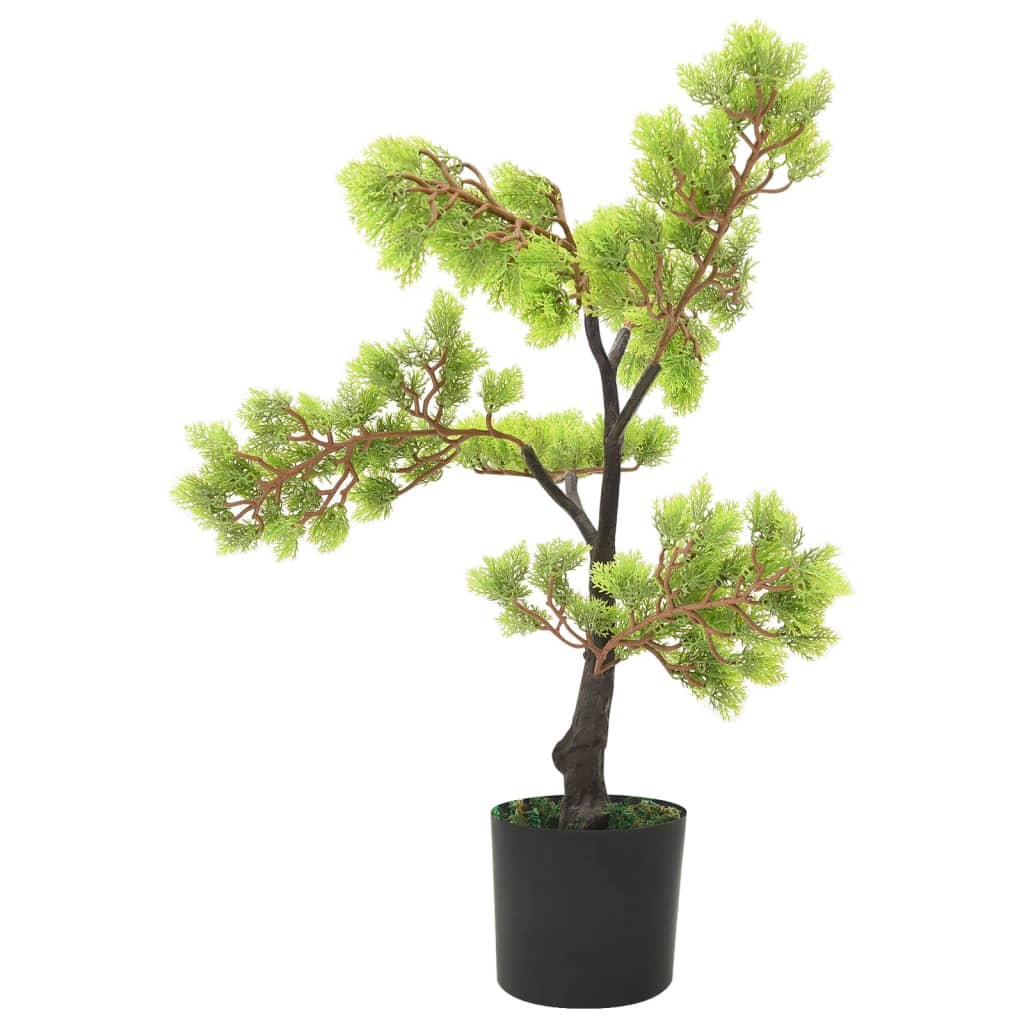 zöld cserepes mű ciprusbonsai 60 cm