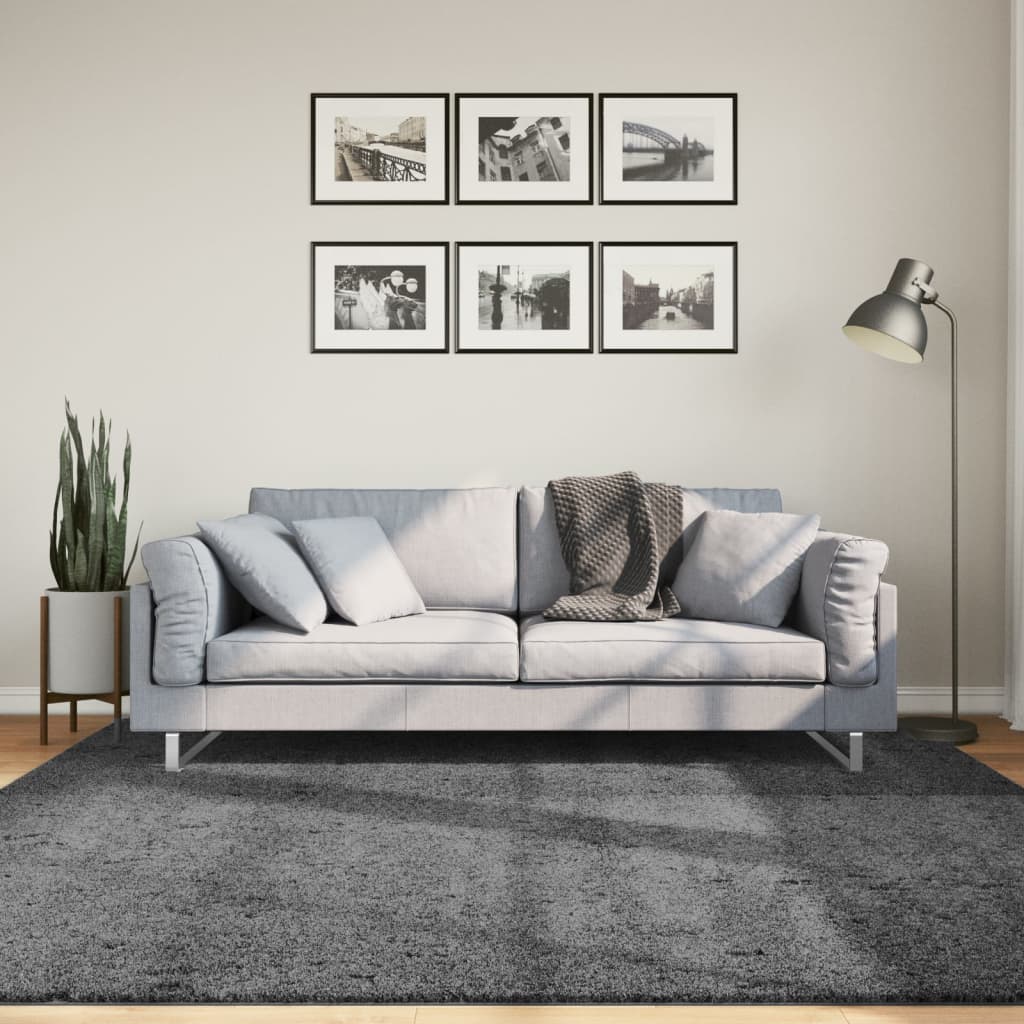 OVIEDO antracitszürke rövid szálú szőnyeg 200 x 200 cm