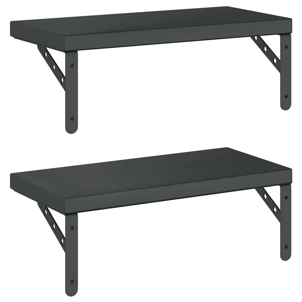 2 db fekete rozsdamentes acél fali polc 50 x 23,5 cm
