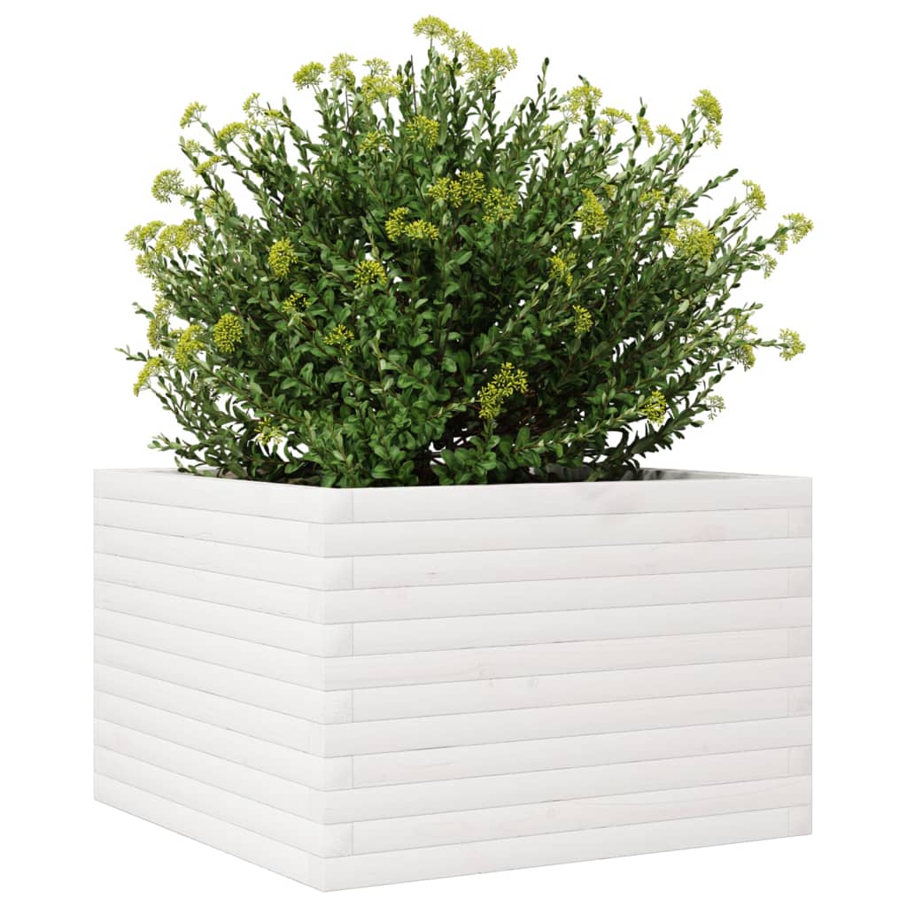 fehér tömör fenyőfa kerti virágláda 70 x 70 x 45,5 cm