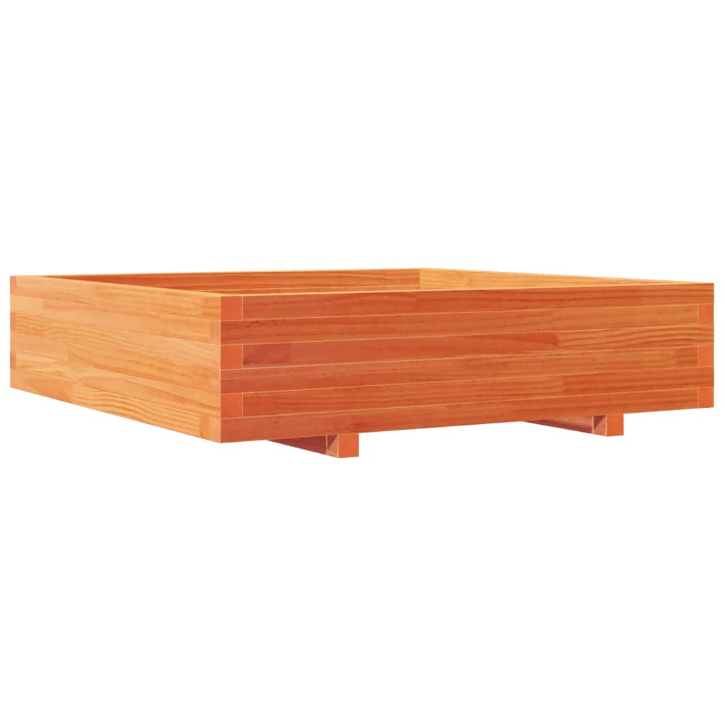 viaszbarna tömör fenyőfa kerti virágláda 100 x 100 x 26,5 cm