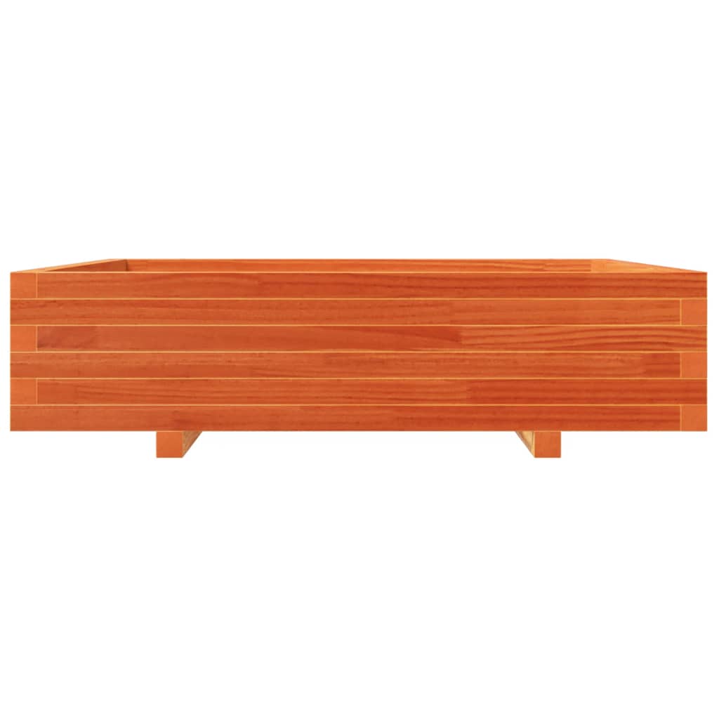 viaszbarna tömör fenyőfa kerti virágláda 100 x 100 x 26,5 cm