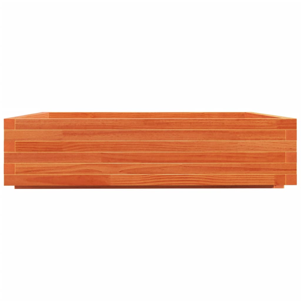 viaszbarna tömör fenyőfa kerti virágláda 100 x 100 x 26,5 cm