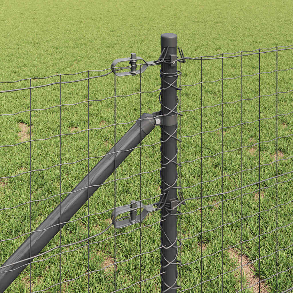 Európa kerítés tüskékkel 10 x 0,8 m PVC-bevonatos acél Szürke