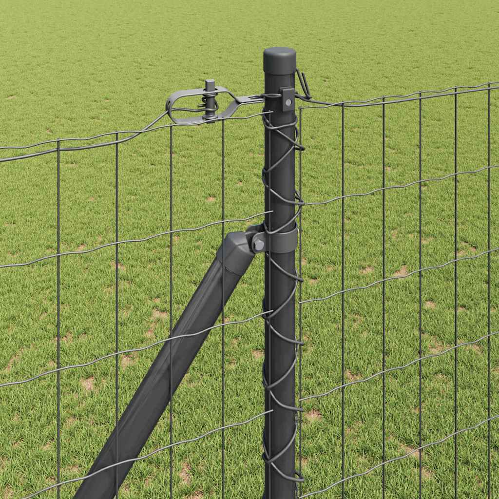Európa kerítés tüskékkel 10 x 1,6 m PVC-bevonatos acél Szürke
