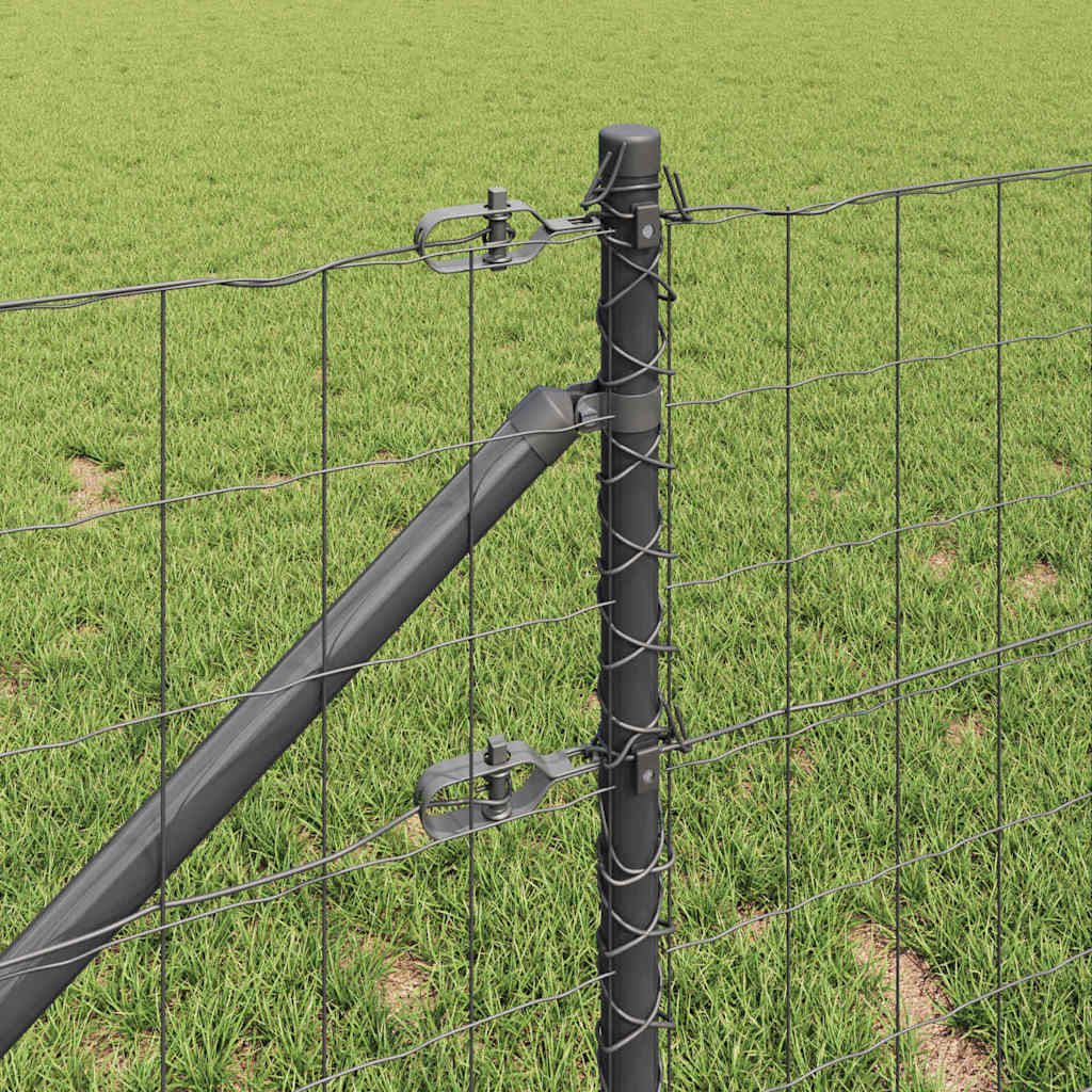 Európa kerítés tüskékkel 10 x 0,8 m PVC-bevonatos acél Szürke
