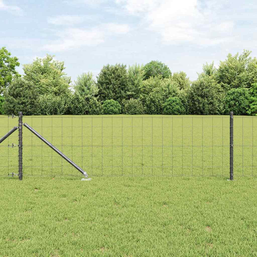 Európa kerítés tüskékkel 25 x 0,8 m PVC-bevonatos acél Szürke