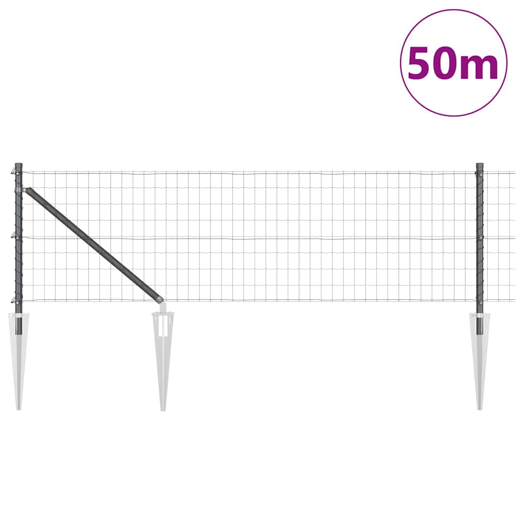 Európa kerítés tüskékkel 50 x 0,6 m PVC-bevonatos acél Szürke