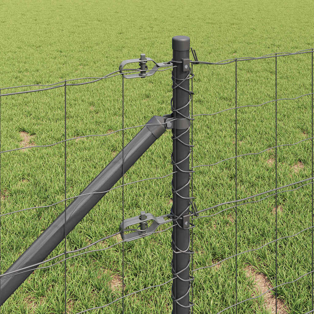 Európa kerítés tüskékkel 50 x 0,6 m PVC-bevonatos acél Szürke
