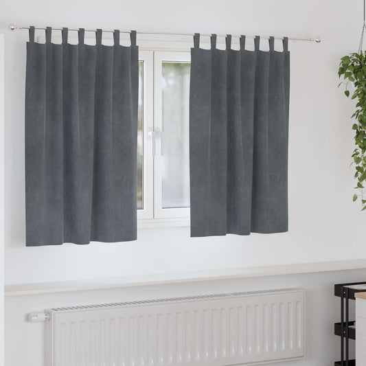 Sötétítő függönyök 2 pcs Világosszürke 140 x 140 cm Bársony