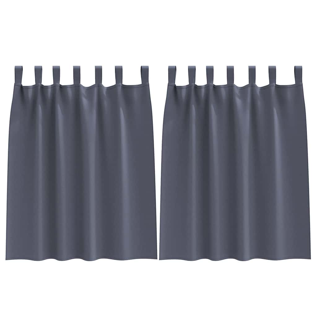 Fekete Függöny Gyűrűkkel 2 pcs Antracit 140 x 140 cm Poliészter