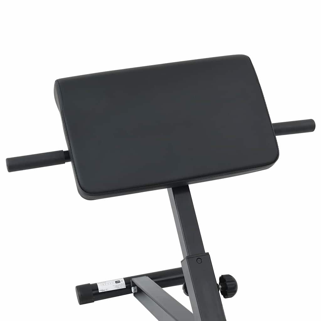 Hyperextension pad Fekete 100,5 x 70 x 78 cm Porszórt acél