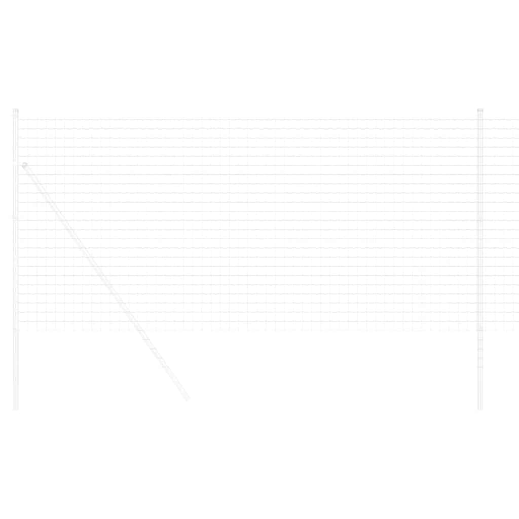 Európai Kerítés 1 x 10 m PVC-bevonatú vas
