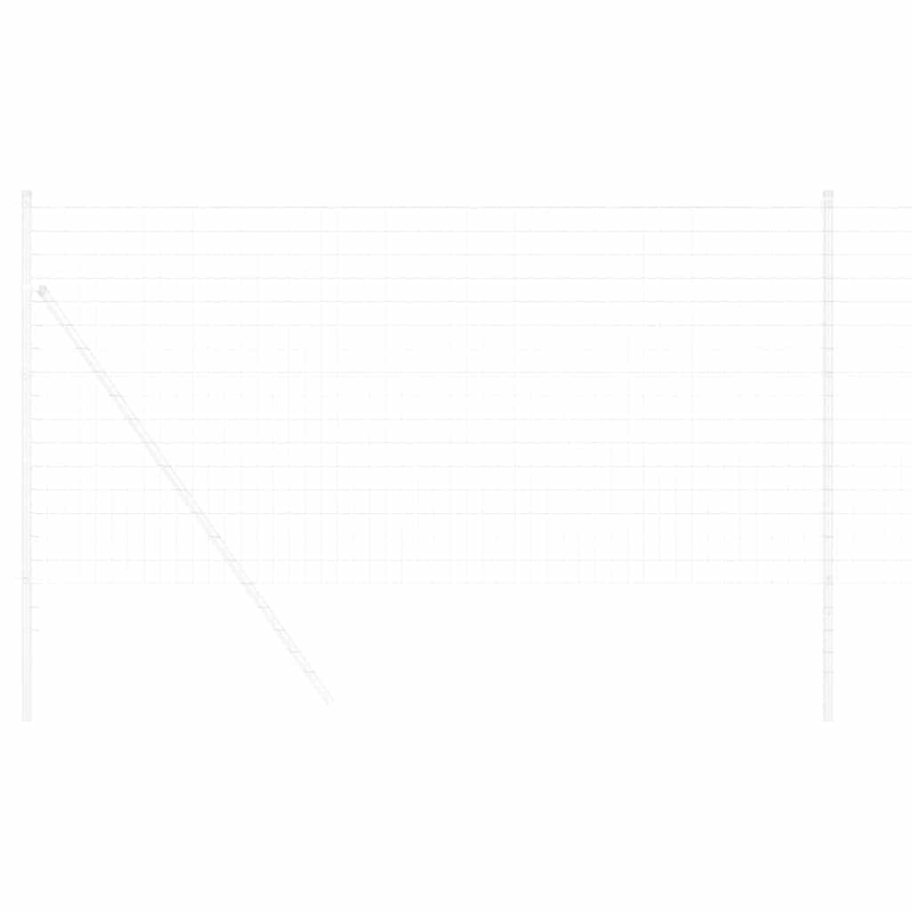 Európai Kerítés 1 x 10 m PVC-bevonatú vas