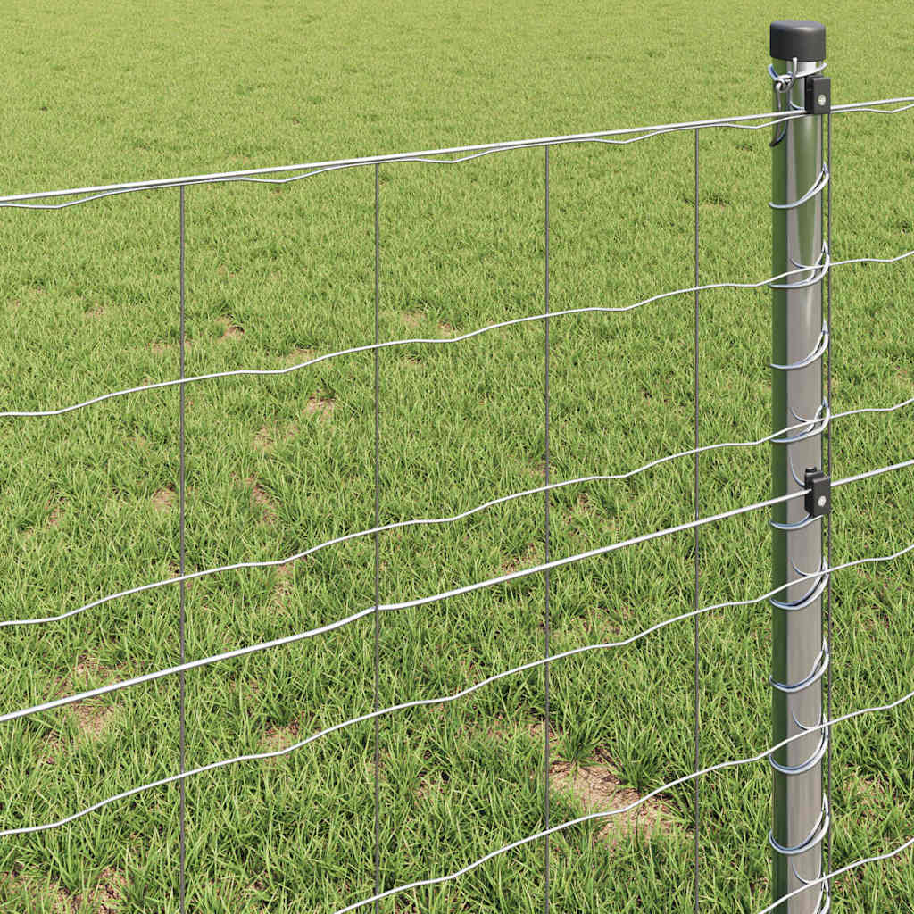 Európai Kerítés 0,8 x 25 m PVC-bevonatú vas
