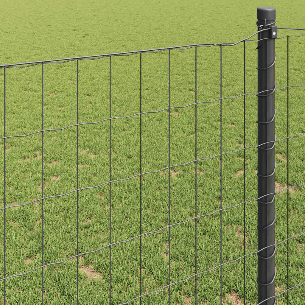 Európai Kerítés Szürke 0,6 x 10 m PVC-bevonatú vas