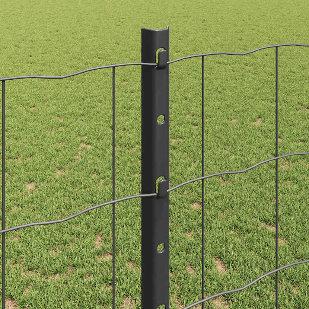 Európai kerítés oszloppal 25 x 1,2 m PVC-bevonatos acél Szürke
