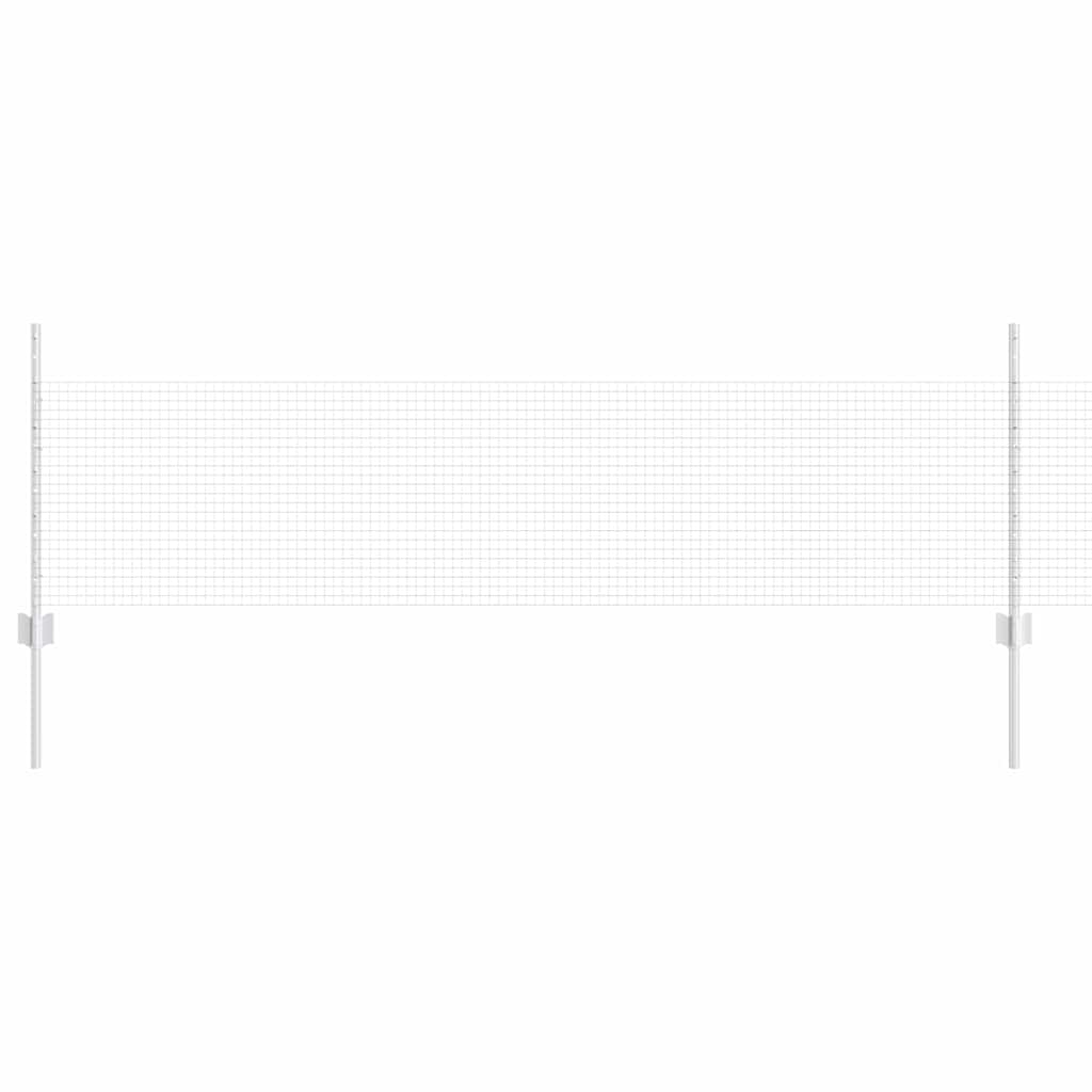 Hegesztett drótkerítés oszlopokkal 100 x 0,5 m Horganyzott Acél