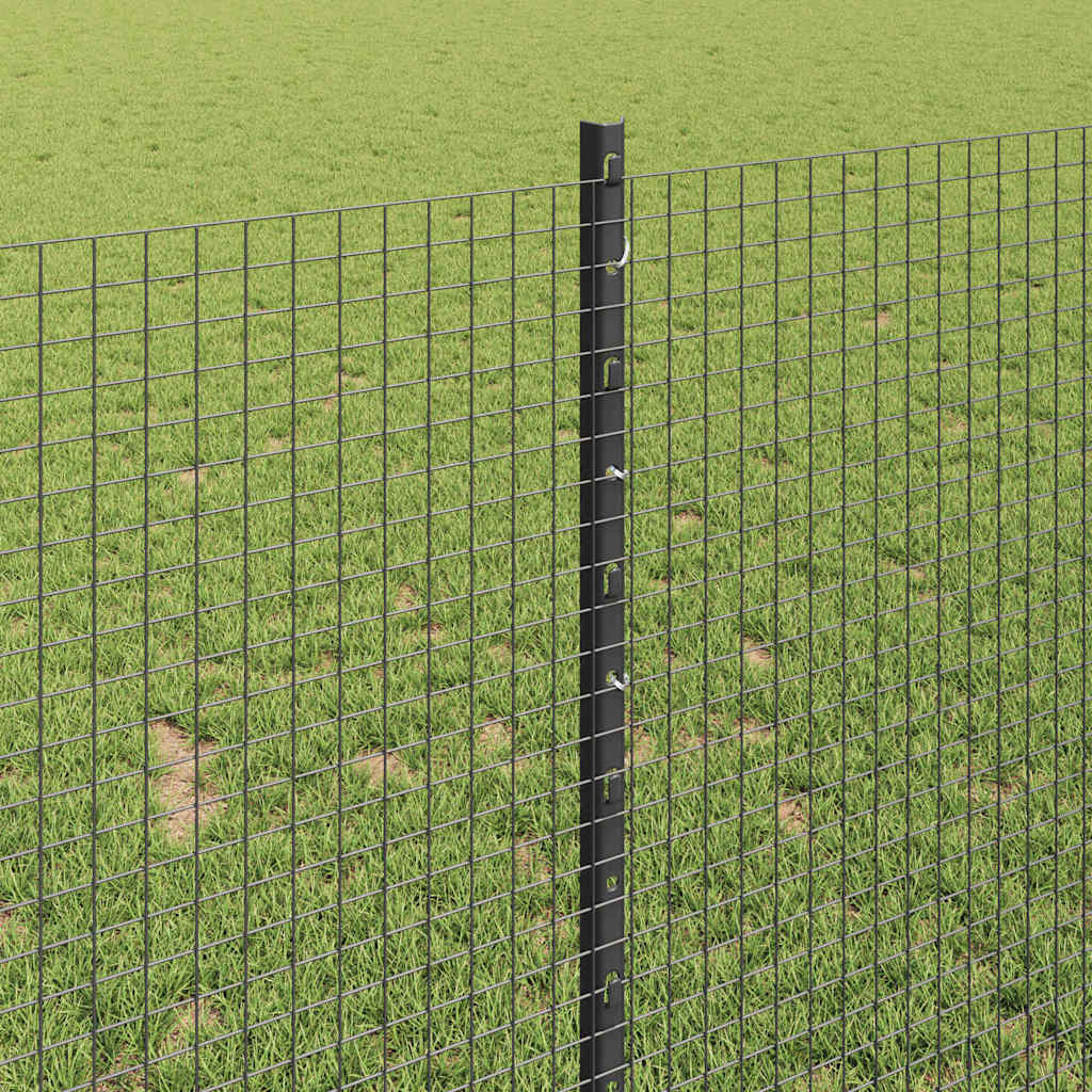 Hegesztett drótkerítés oszlopokkal 10 x 1 m Horganyzott Acél