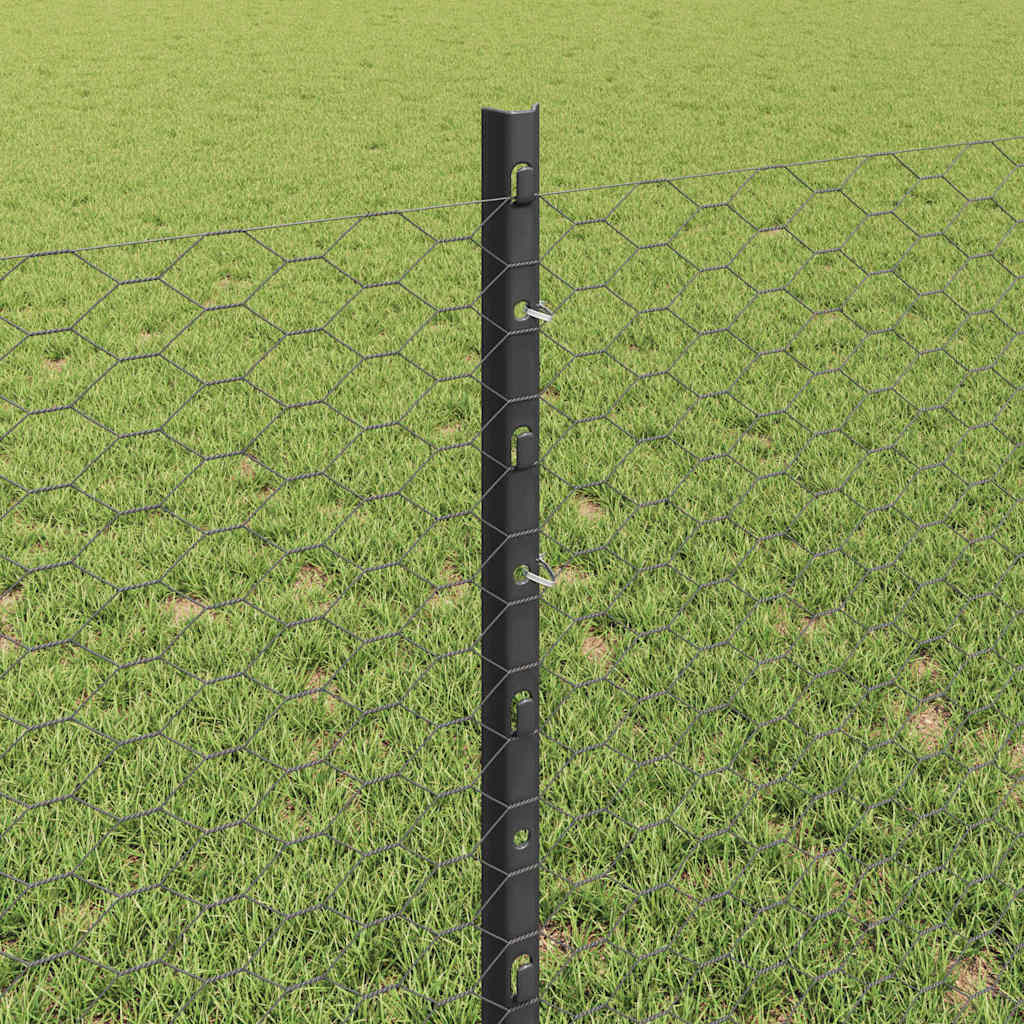 Hatszögletű kerítés oszlopokkal 50 x 0,8 m PVC-bevonatos acél
