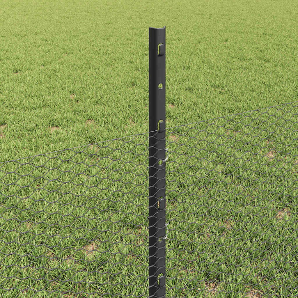 Hatszögletű kerítés oszlopokkal 100 x 0,5 m PVC-bevonatos acél