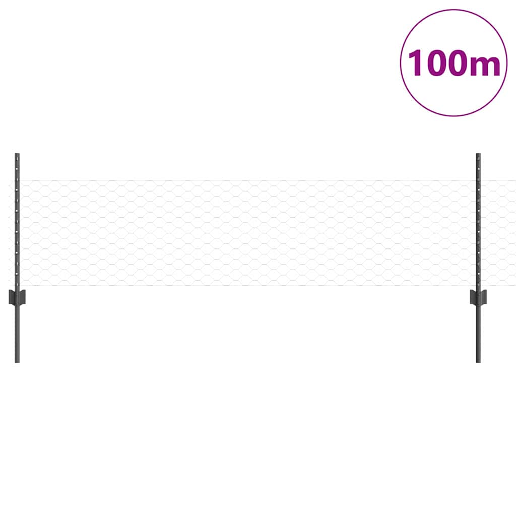 Hatszögletű kerítés oszlopokkal 100 x 0,5 m PVC-bevonatos acél