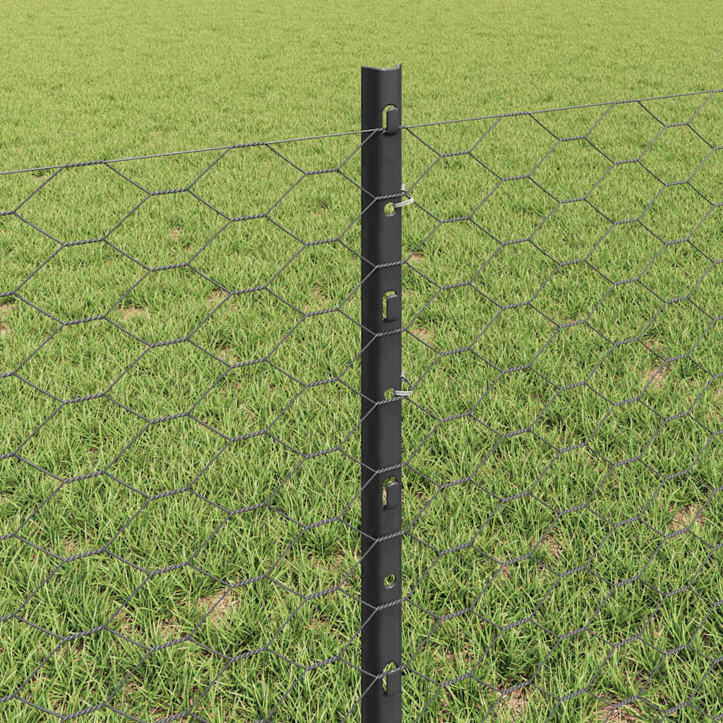 Hatszögletű kerítés oszlopokkal 100 x 0,6 m PVC-bevonatos acél