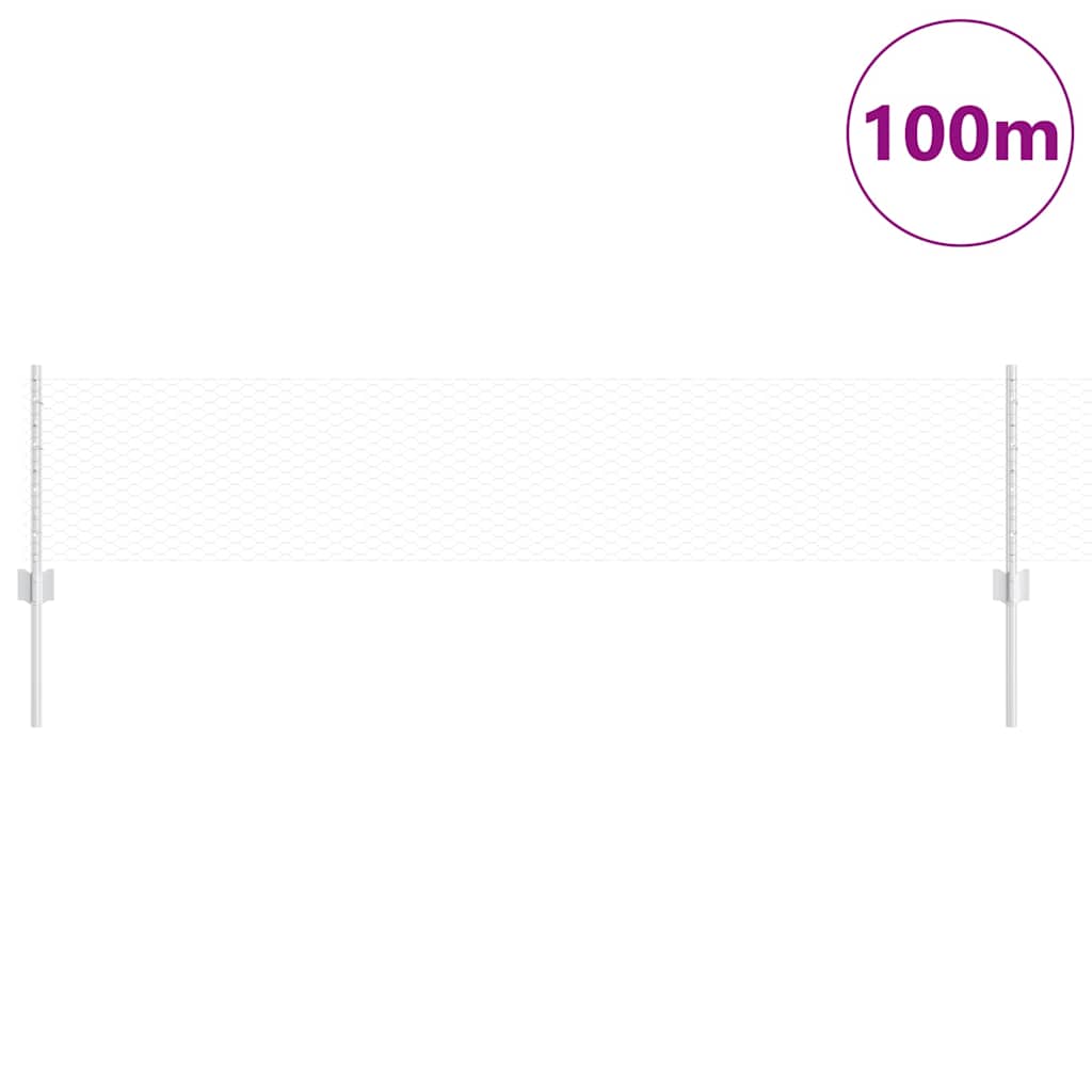 Hatszögletű kerítés oszlopokkal 100 x 0,4 m Horganyzott Acél