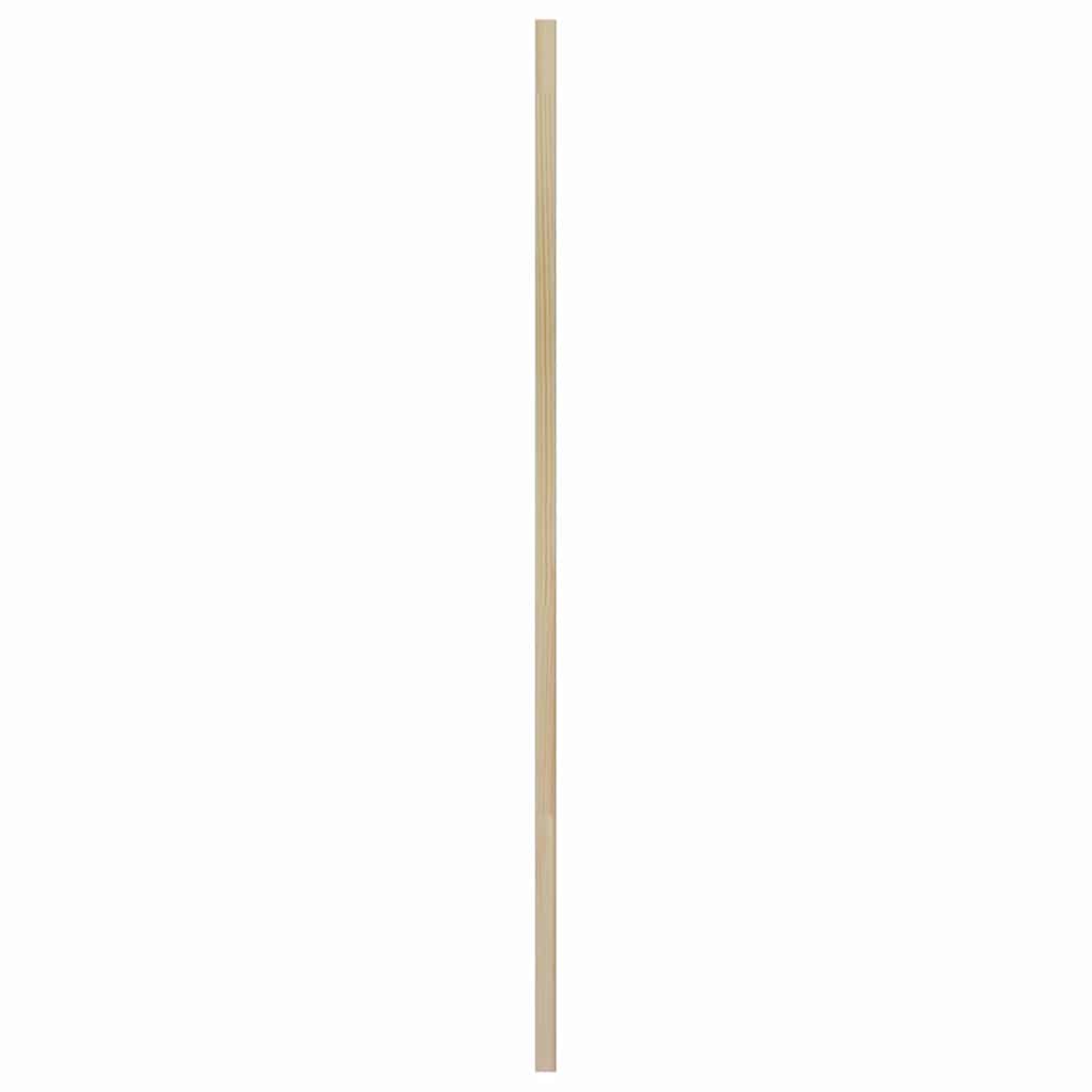 Széfajtó ajtóval Természetes 49,5 x 2,1 x 110 cm Tömör fenyőfa