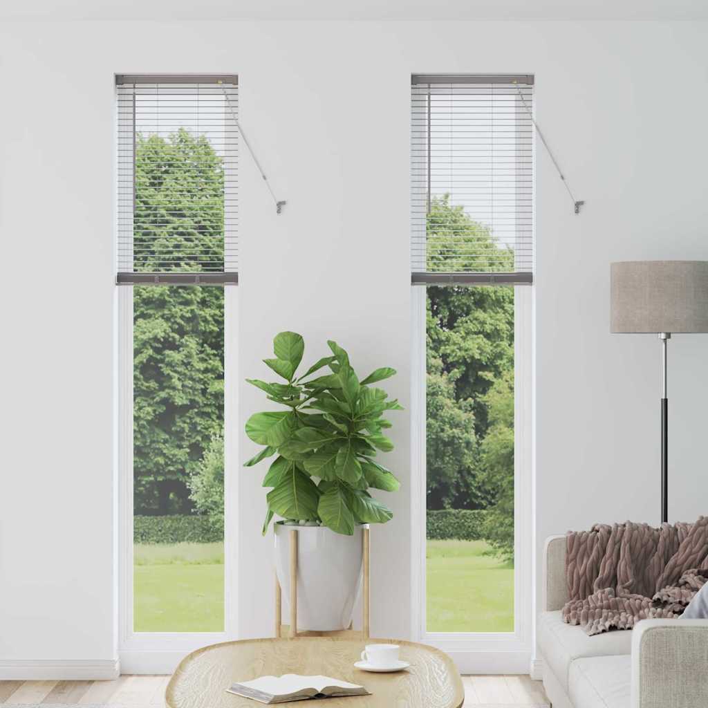 Zsalugáter Redőnyök Ezüst 220 x 45 cm Alumínium