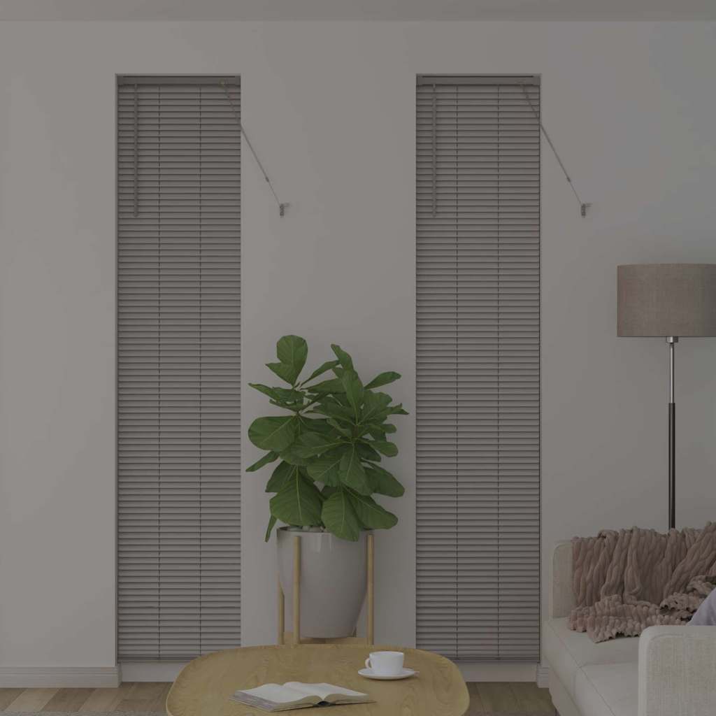 Zsalugáter Redőnyök Ezüst 220 x 45 cm Alumínium