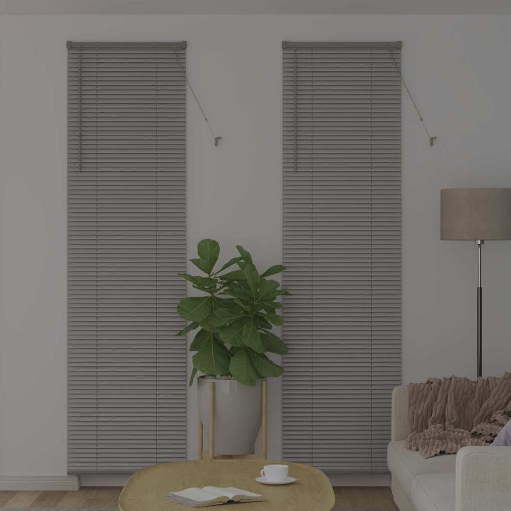 Zsalugáter Redőnyök Ezüst 220 x 60 cm Alumínium