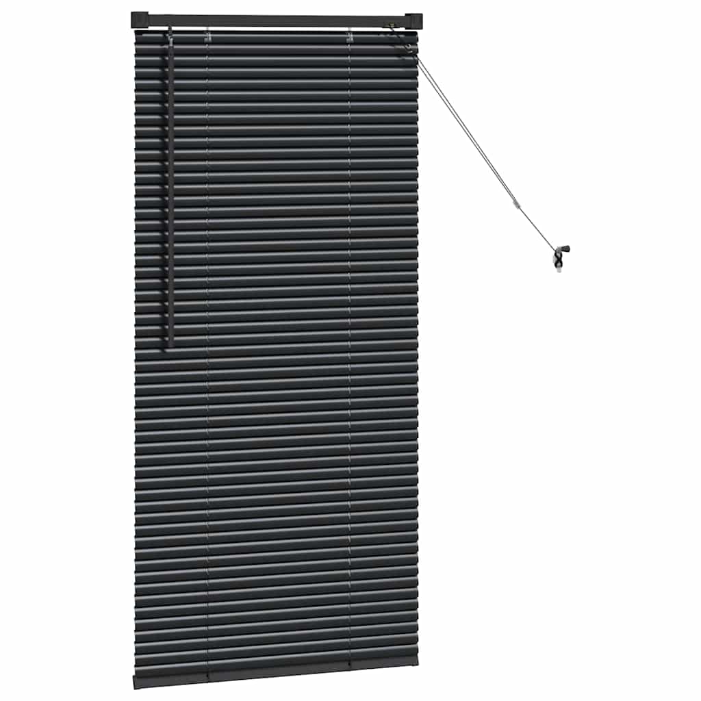 Zsalugáter Redőnyök Fekete 60 x 2,5 x 130 cm Alumínium