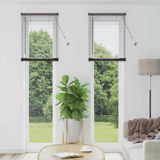 Zsalugáter Redőnyök Fekete 220 x 65 cm Alumínium