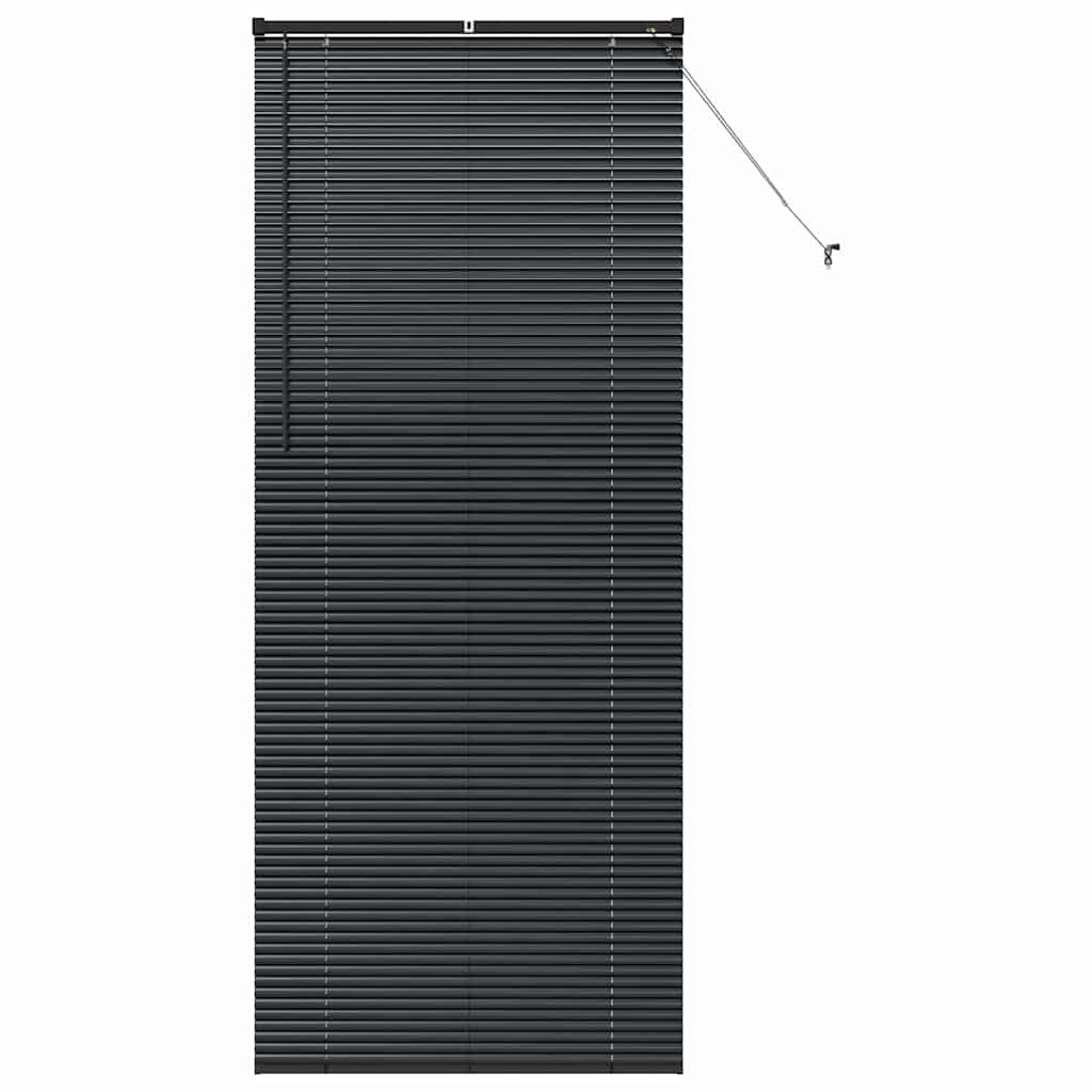 Zsalugáter Redőnyök Fekete 220 x 95 cm Alumínium