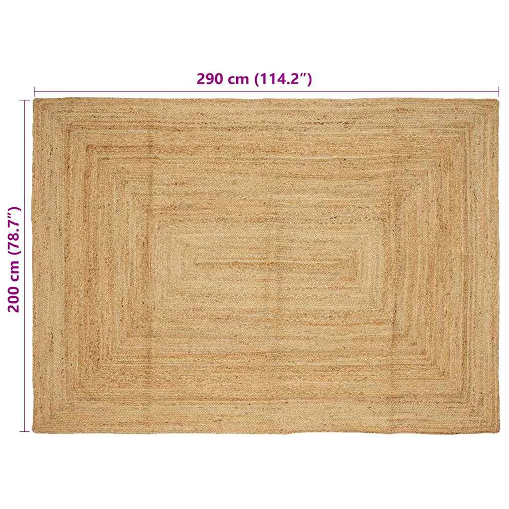Területszőnyegek Természetes 200 x 290 cm Juta