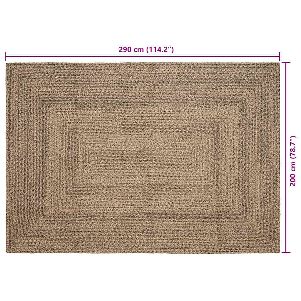 Területszőnyegek Természetes és Fekete 200 x 290 cm Juta