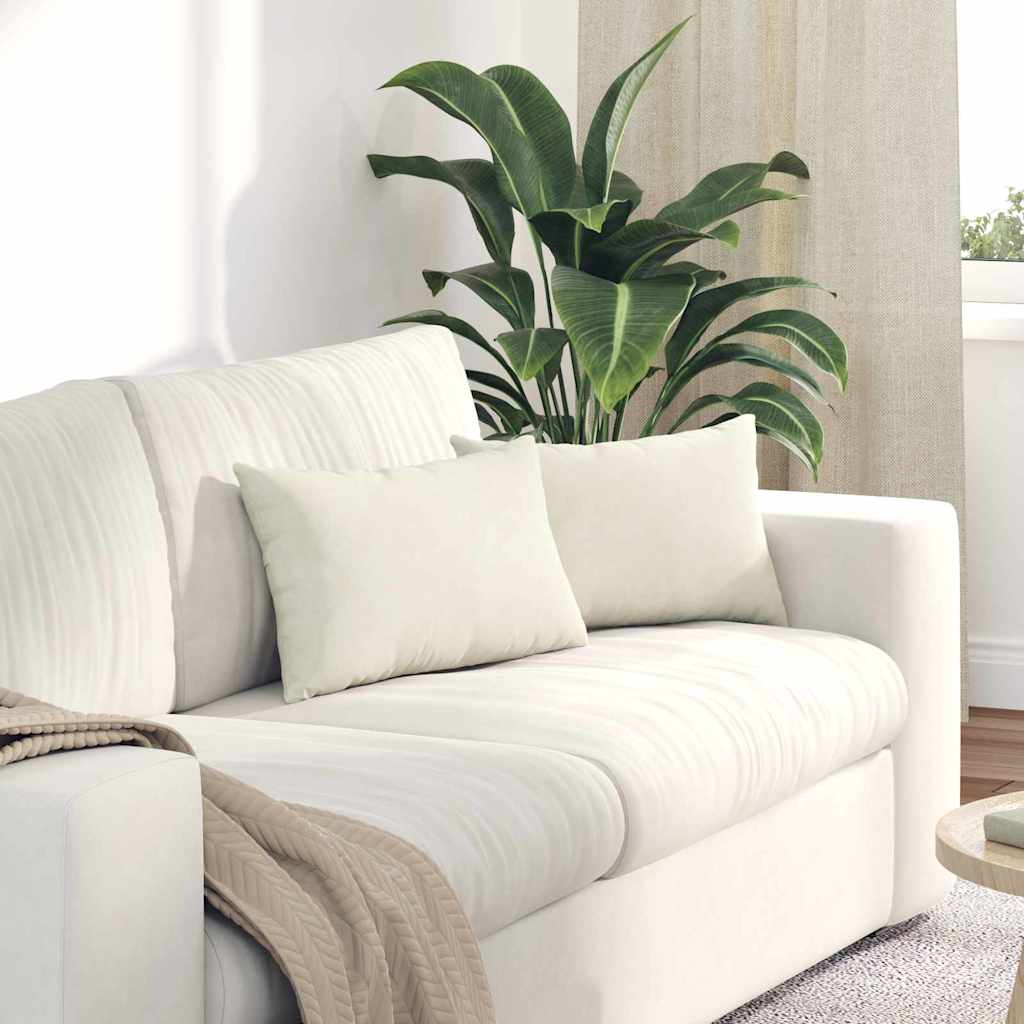 Kanapé párnák 2 pcs Krém 50 x 30 cm Bársonyos szövet