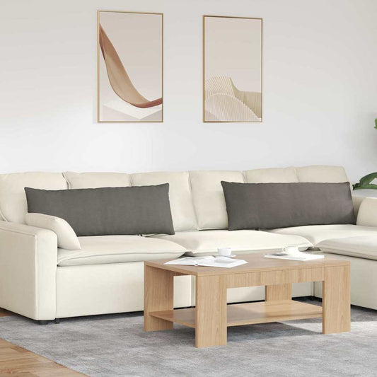 Kanapé párnák 2 pcs Világosszürke 120 x 40 cm Bársonyos szövet