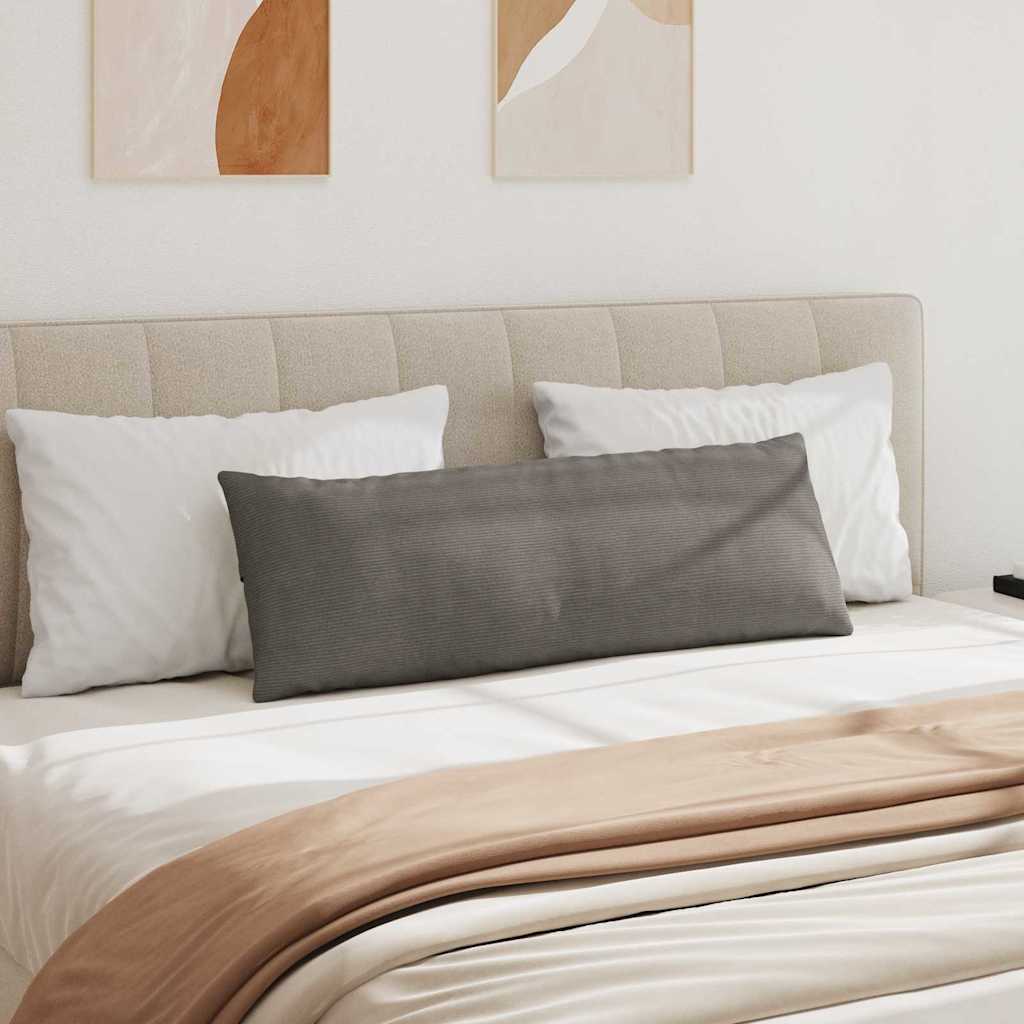 Kanapé párnák 2 pcs Világosszürke 120 x 40 cm Bársonyos szövet