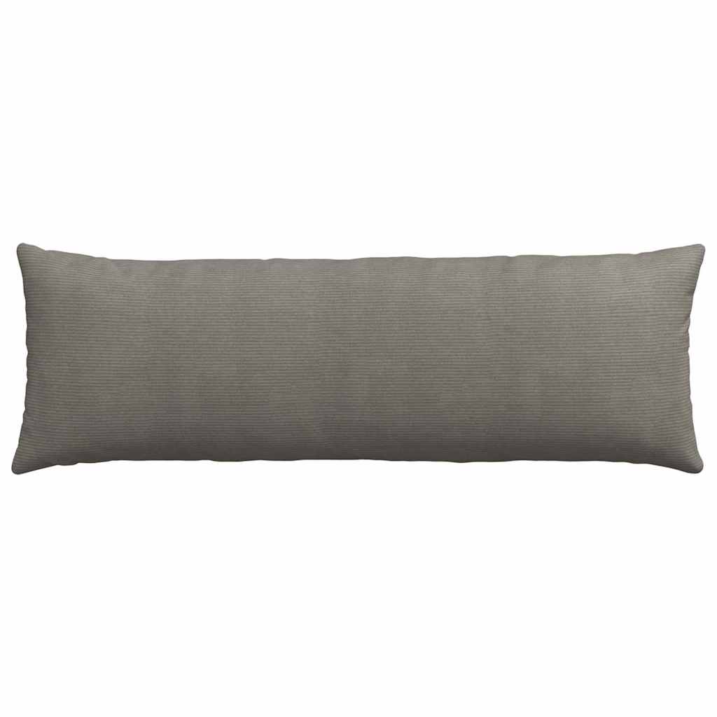 Kanapé párnák 2 pcs Világosszürke 120 x 40 cm Bársonyos szövet