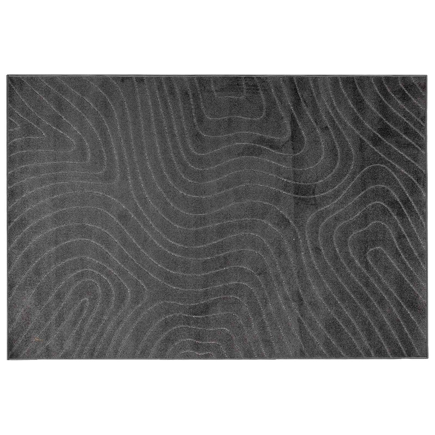 Területszőnyegek PALMERAS Antracit 170 x 120 cm Poliészter