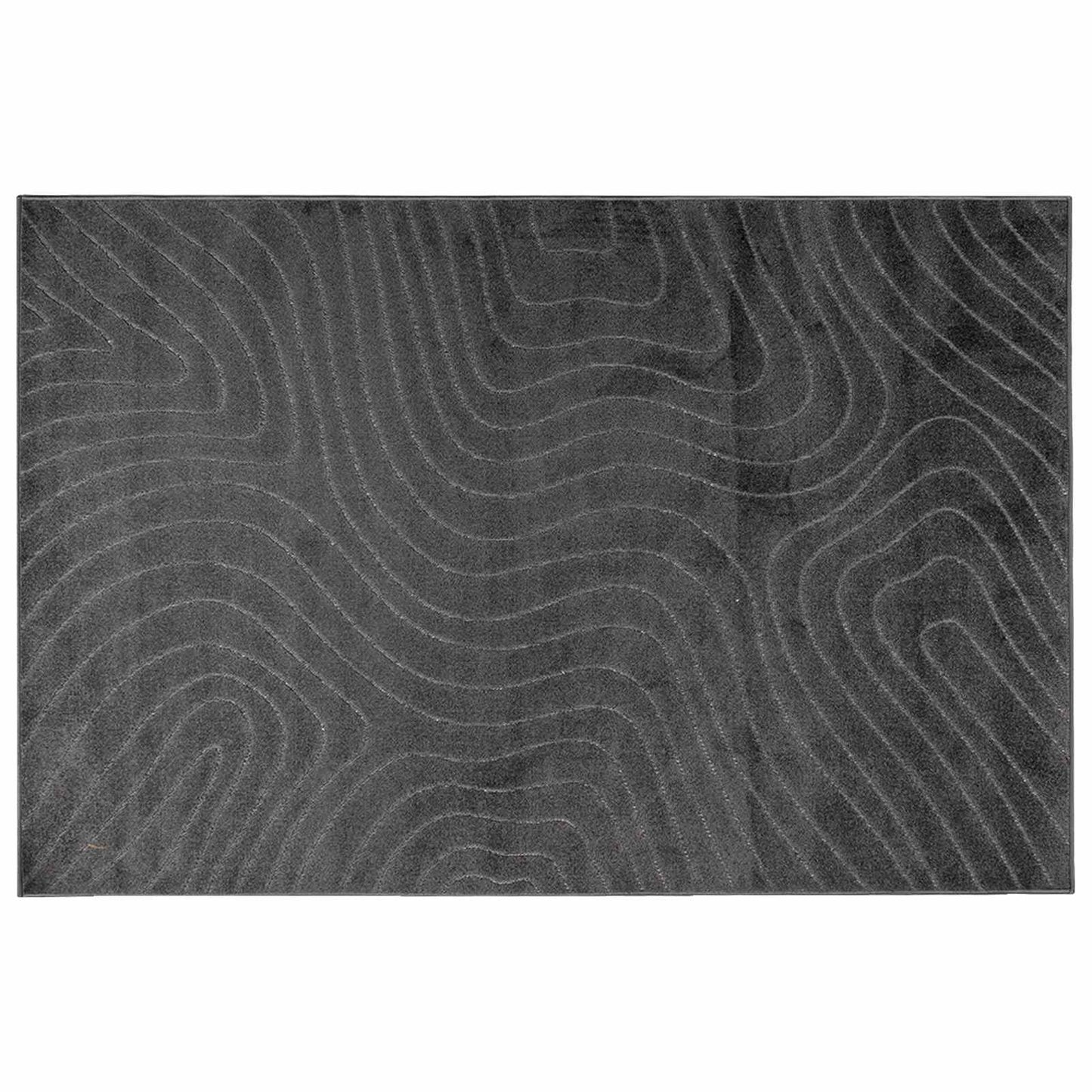 Területszőnyegek PALMERAS Antracit 340 x 240 cm Poliészter