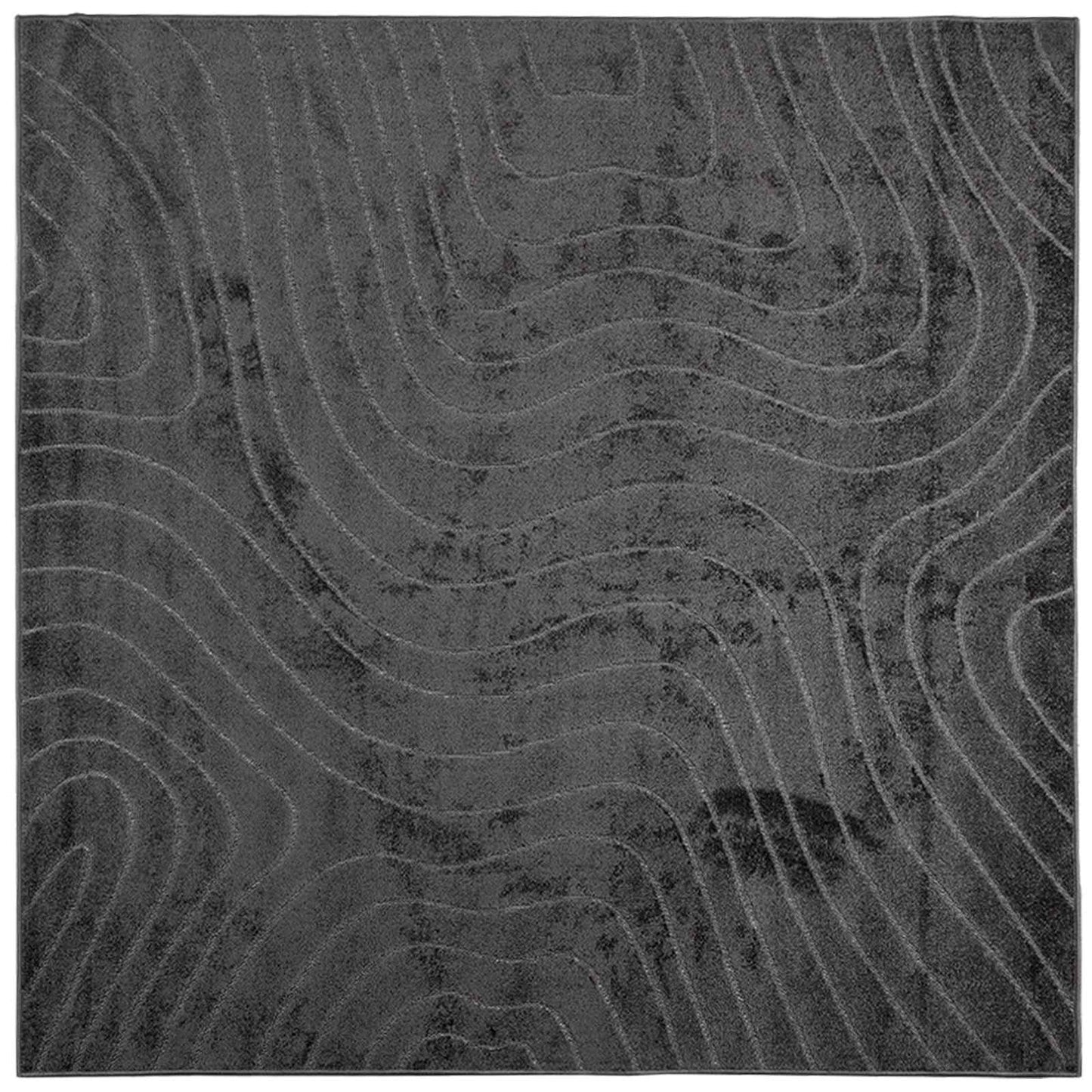 Területszőnyegek PALMERAS Antracit 240 x 240 cm Poliészter