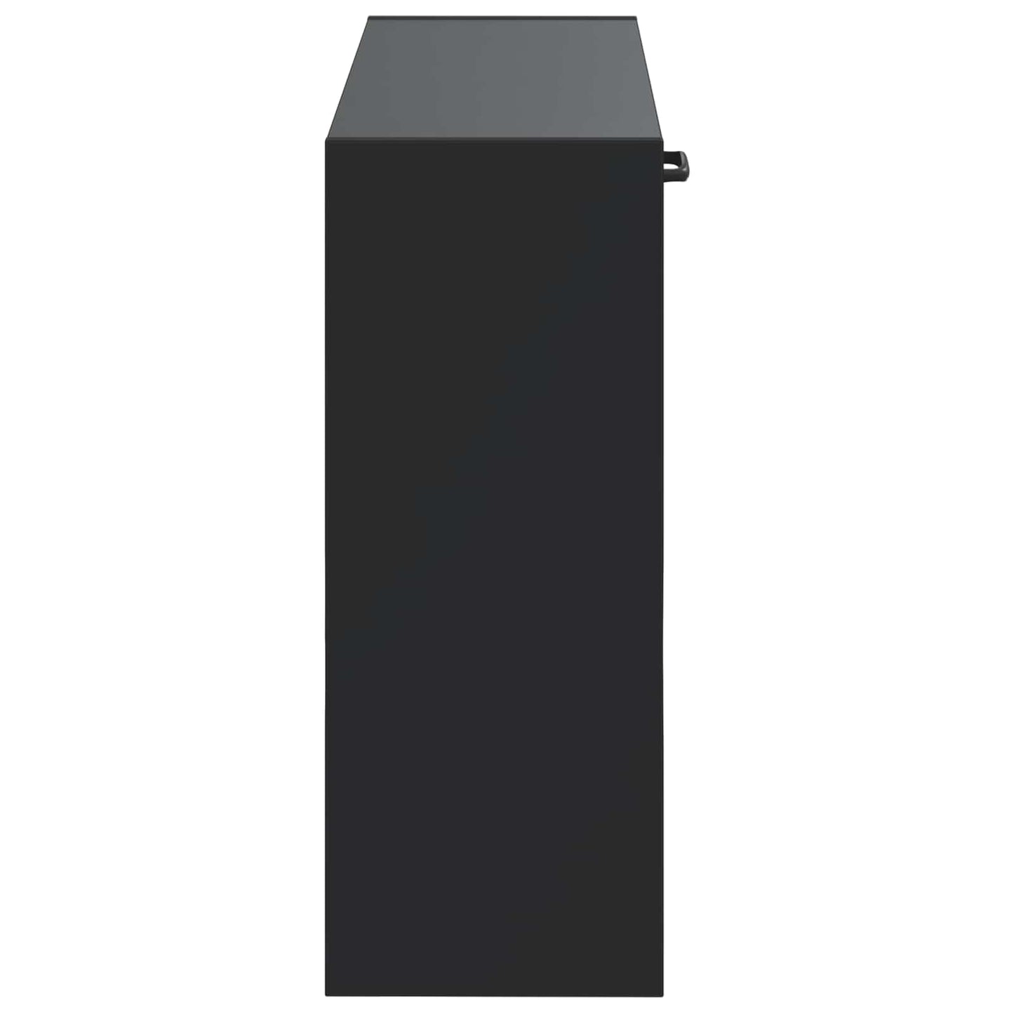 Fali Cipőtartó HOORN 71 x 17 x 43 cm Szerelt Fa Fekete