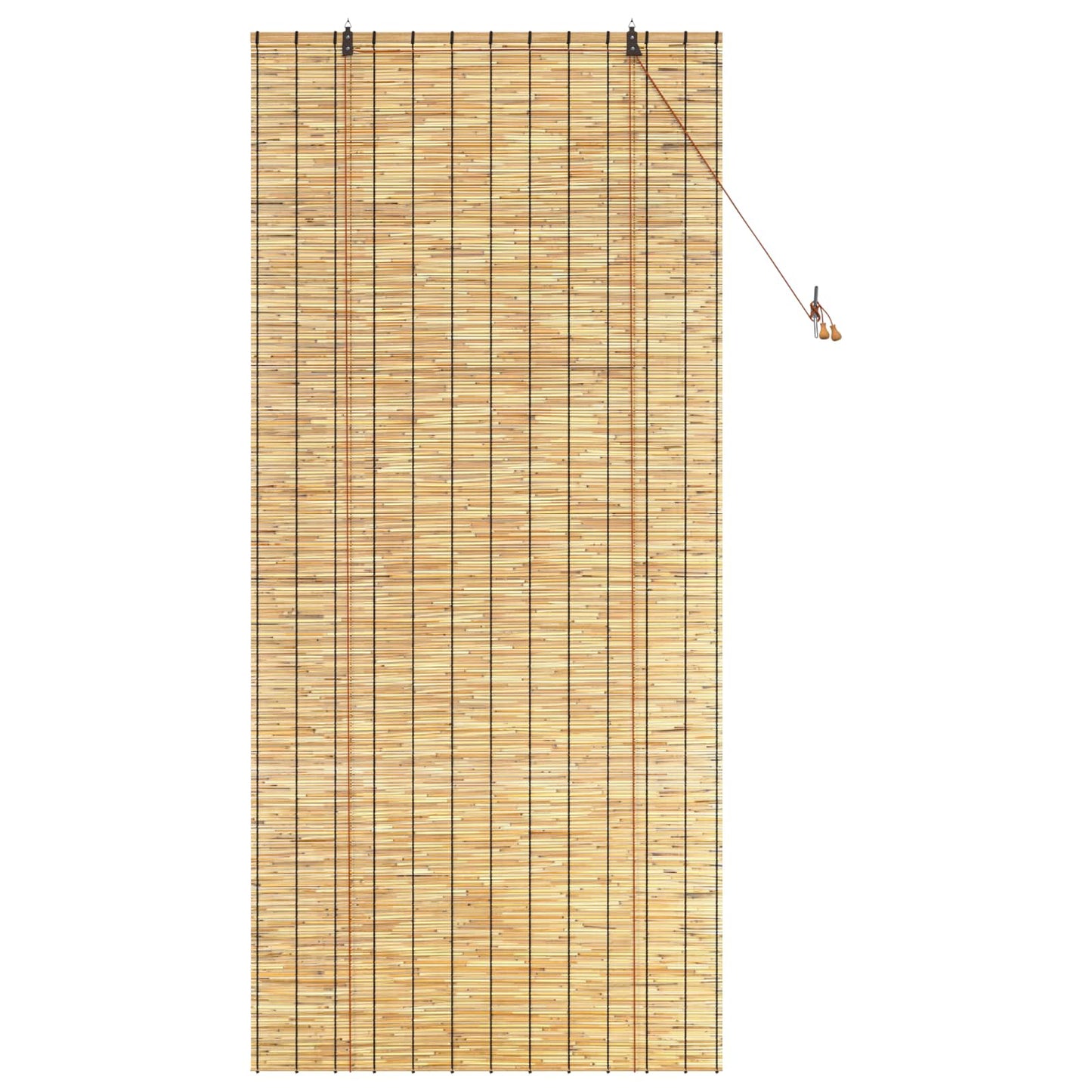 Roletta Természetes 100 x 220 cm Nád